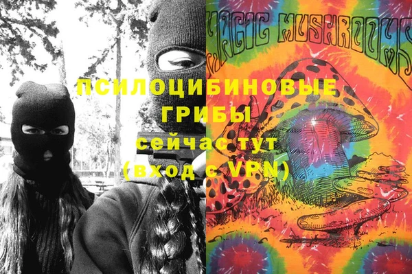 трава Балахна