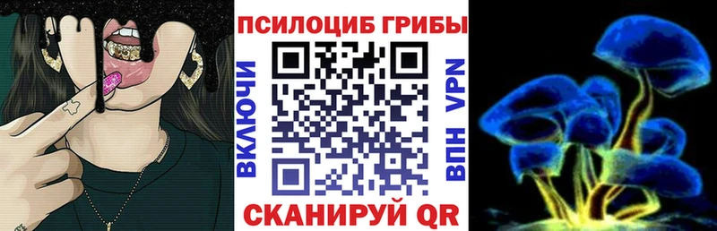 где можно купить   Пойковский  Псилоцибиновые грибы GOLDEN TEACHER 
