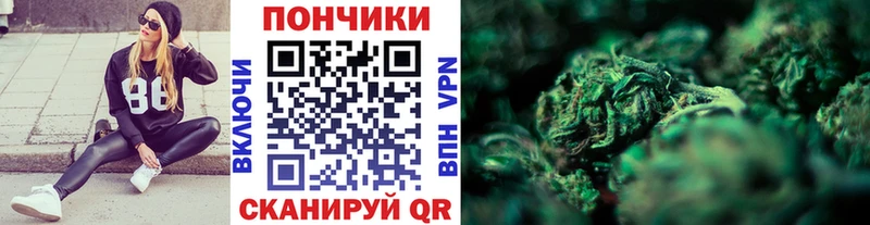 Бошки Шишки сатива  Пойковский 